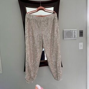 Loft sequin joggers. These are spectacular! new with tags sz L